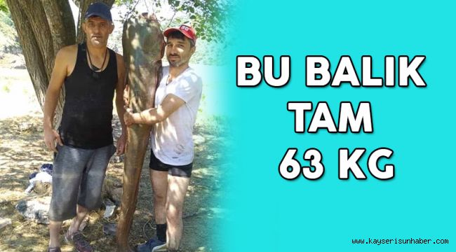 63 kiloluk dev yayın balığını olta ile yakaladılar  