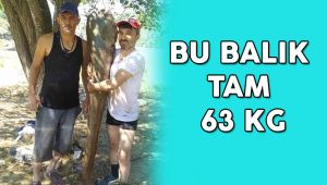 63 kiloluk dev yayın balığını olta ile yakaladılar  