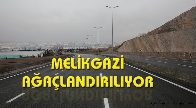 Abdulhamid Han Bulvarı’na 8 bin fidan dikilecek