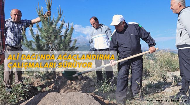 ALİ DAĞI'NDA AĞAÇLANDIRMA ÇALIŞMALARI SÜRÜYOR  