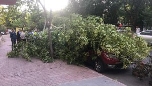 KAPUZBAŞI ŞELALALELERİNE GİDEN YOL, AŞIRI YAĞIŞTAN KAPANDI