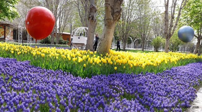 Büyükşehir Belediyesi, 1 Milyon 910 Bin 786 Adet Çiçek Dikti  