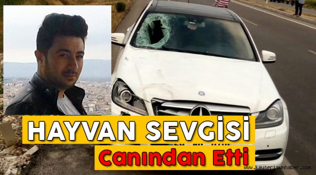 Kaplumbağayı Kurtarmak İsterken Canından Oldu
