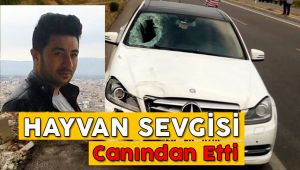 Kaplumbağayı Kurtarmak İsterken Canından Oldu  