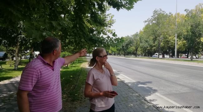 Mahallelinin ‘Kaza’ İsyanı