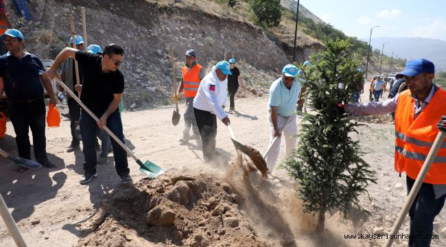 Talas Belediye Meclis Üyeleri Ali Dağı'nda Fidan Dikti