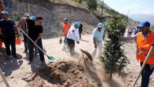 Talas Belediye Meclis Üyeleri Ali Dağı'nda Fidan Dikti