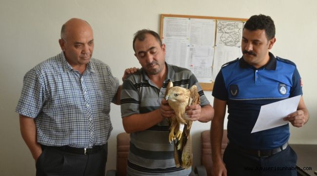 Yaralı Şahine Bünyan Belediyesi Sahip Çıktı