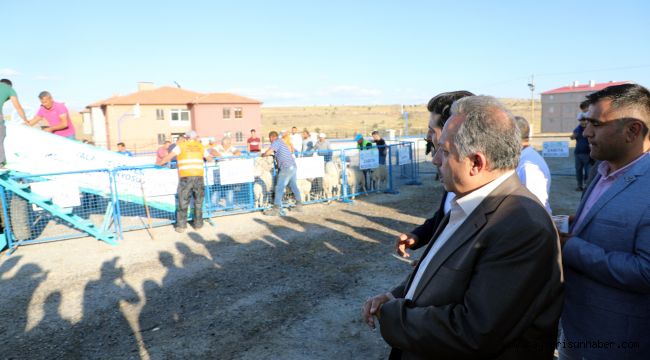 Talas’ta Hayvancılığa Destek