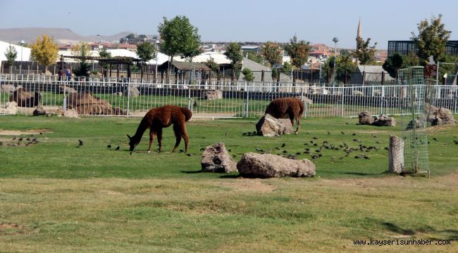 Hayvanat Bahçesine Yoğun İlgi
