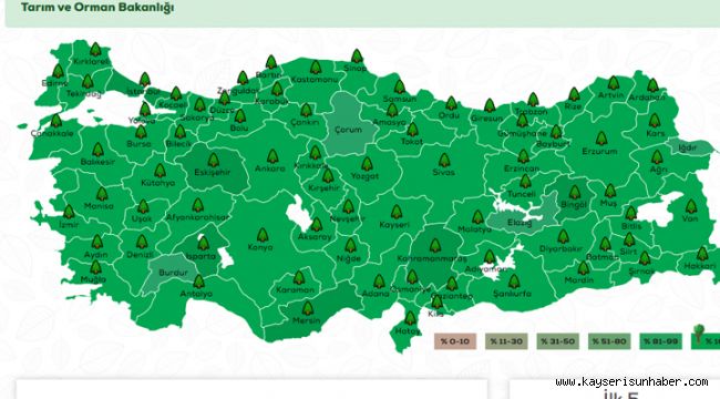 11 Kasım'da 11 milyon fidan toprakla buluşacak