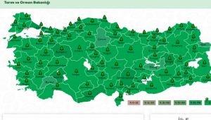 11 Kasım'da 11 milyon fidan toprakla buluşacak