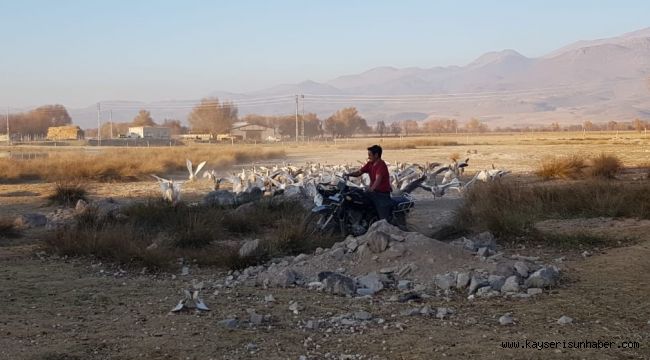 13 yıldır kurulan dostluk görenleri şaşırtıyor