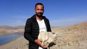 Fosil deryası Kayseri’de bir fosil daha
