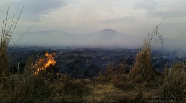 Kayseri'de Sazlık Yangını