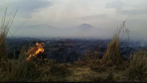 Kayseri'de Sazlık Yangını