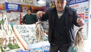 Mezgit fiyatı rekora koşuyor