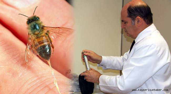 Modern tıpta, arı zehri mucizesi