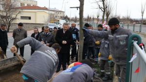 Başkan Mustafa Palancıoğlu: Fidan değil, ağaç dikiyoruz