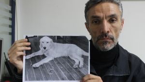 Kaybolan köpeğini öyle bir yerde buldu ki