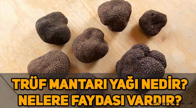 Trüf mantarı nedir, nasıl tüketilir? Trüf mantarı yağının faydaları nelerdir?