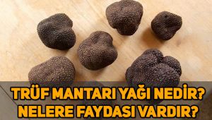 Trüf mantarı nedir, nasıl tüketilir? Trüf mantarı yağının faydaları nelerdir?