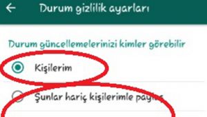 Whatsapp’ta durumunu, görmesini istemediklerinden gizleme