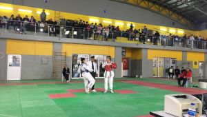 Büyükler ve Gençler Taekwondo İl Birinciliği Tamamlandı