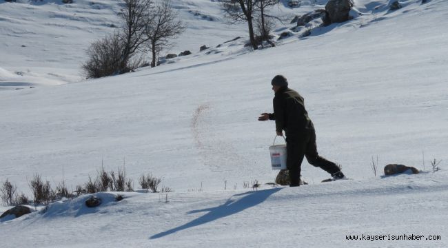 Yaban Hayvanlarına Yem Bırakıldı