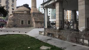 Kayseri’de cami avlusunu fareler bastı