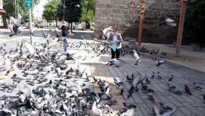 Sokağa çıkma kısıtlamasında güvercinleri beslediler