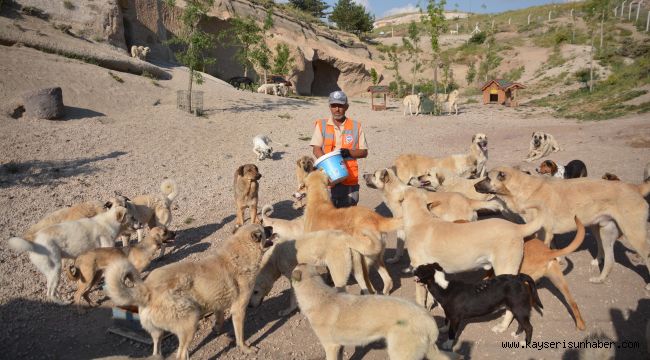 Koronavirüs engeline takılan 'Patiköy' yeniden açıldı