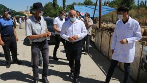 Başkan Esat Öztürk kurban pazarını ziyaret etti
