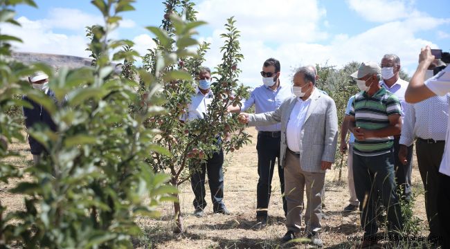 Başkan Yalçın’dan bilinçli tarım teşviki