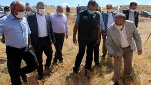 Cumhurbaşkanı Erdoğan’ın talimatının ilk hasadı Yalçın Başkan’dan