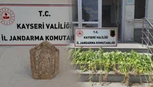 Jandarma kenevir eken ve tarihi eser kaçakçılığı yapan şahısları yakaladı