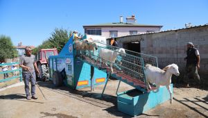 Talas'ın 'mobil koyun banyosu' bölgeye hizmet veriyor