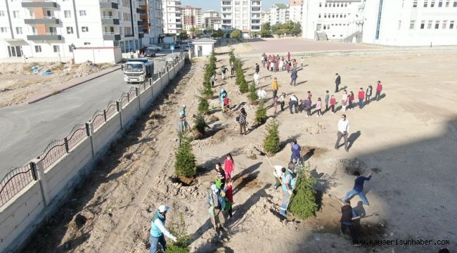 Kocasinan Belediyesi, ağaç dikimiyle geleceğe nefes oluyor