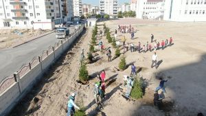 Kocasinan Belediyesi, ağaç dikimiyle geleceğe nefes oluyor