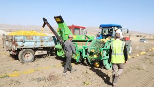 Talas'ın tarıma desteği artarak devam ediyor