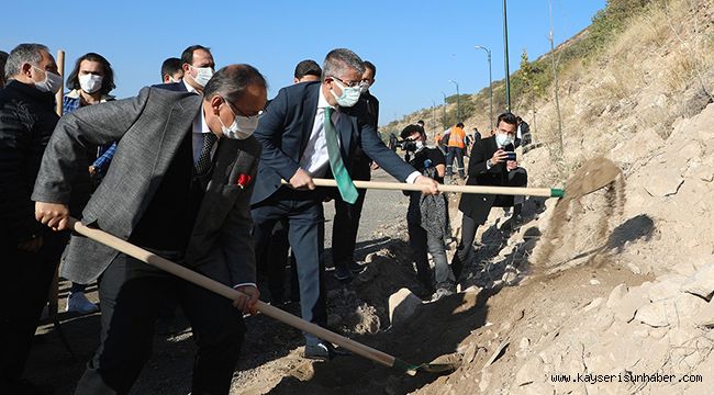 AK PARTİ ALİ DAĞI'NA AĞAÇ DİKTİ