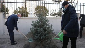 Başkan öğretmenlerle birlikte ağaç dikti