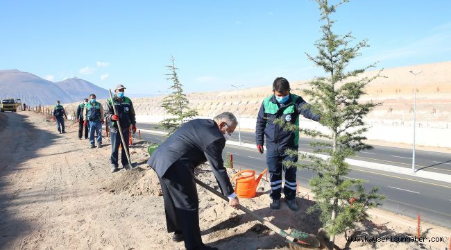 Büyükşehir 100 bin fidanı toprakla buluşturuyor