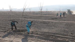 ÇOLAKBAYRAKTAR KAYSERİ'YE ENGELSİZ PARK KAZANDIRIYOR