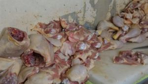 Denetimlerde sağlıksız koşullarda üretilen 150 kilo tavuk imha edildi