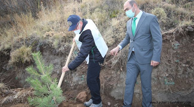 ÖZDOĞAN: YAKANLARA İNAT AĞAÇ SAYIMIZI ARTTIRACAĞIZ