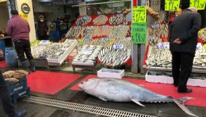 185 kiloluk orkinosu gören Kayserililer hayrete düştü