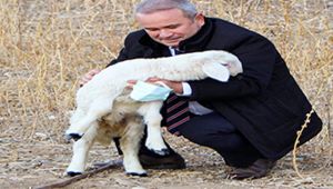 Başkan Arslan hayvan yetiştiricilerinin yanında