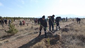 Büyükşehir Ulaşım A.Ş.'den Hatay'a 700 fidan