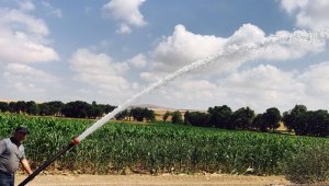 Büyükşehirden tarım ve hayvancılığa 13 milyon TL'lik yatırım